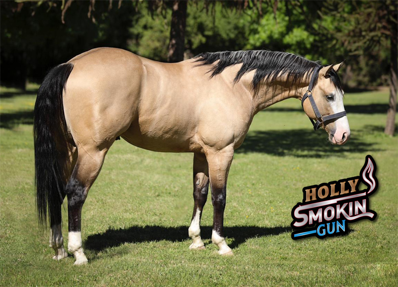Holly Smoking Gun 1